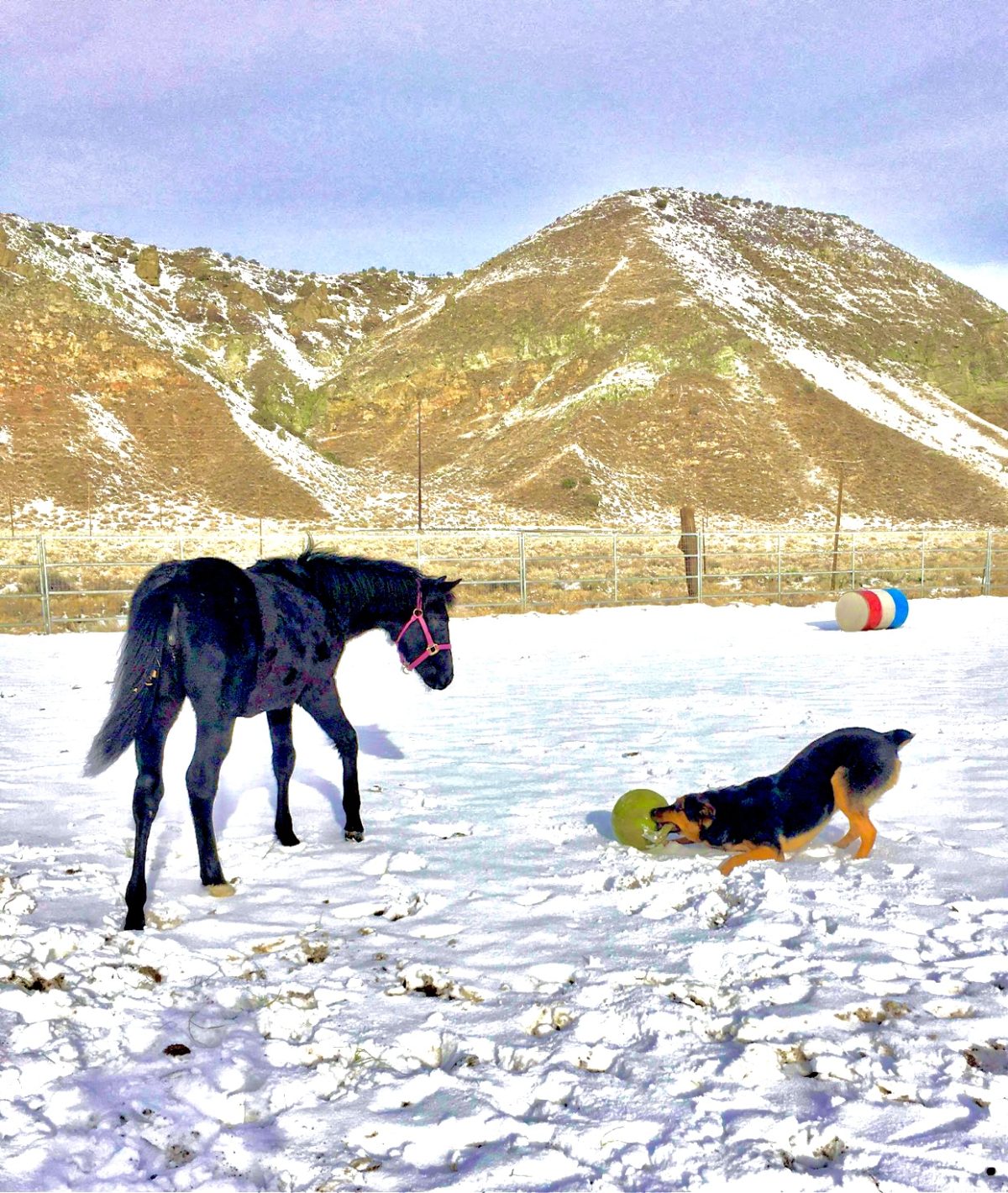 Resources Greater Tehachapi Chamber of Commerce